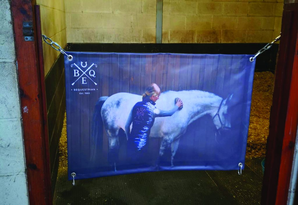 INTRODUCING NEW BRANDED STABLE GUARDS - Bequestrian